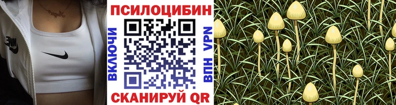 Купить закладки  Раменское  Псилоцибиновые грибы мухоморы 